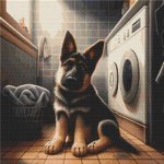 (image for) Helping? - German Shepherd